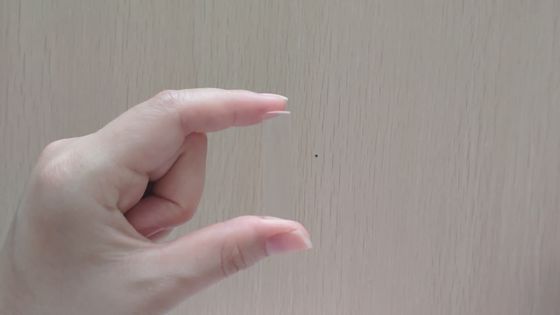 Optical Glass BK7 10x10mm R13mm Plano Convex Cylindrical Lens